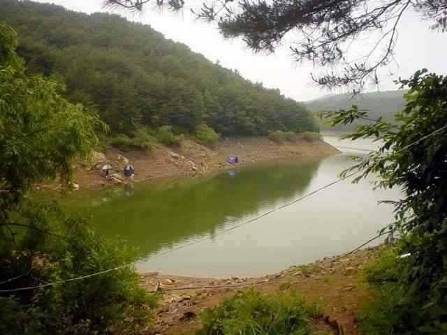 서산 동부권 장마 첫 비 마릿 수 조과 하지만 (조황조행기 - 특파원조황)