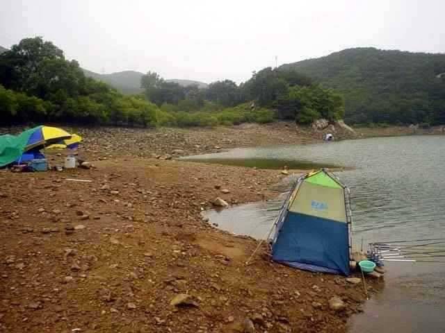서산 동부권 장마 첫 비 마릿 수 조과 하지만 (조황조행기 - 특파원조황)