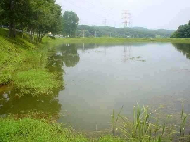 서산 동부권 물맑은 계곡지 4짜오름 수위 (조황조행기 - 특파원조황)