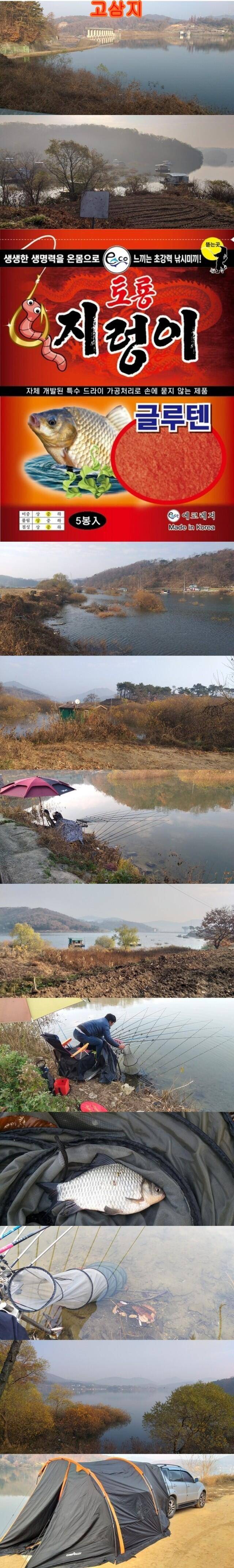 고삼사암두창지주말 조황 (조황조행기 - 특파원조황)