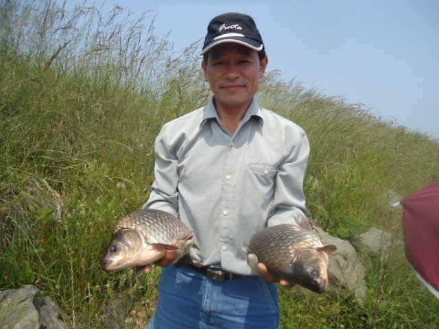 부남호 수요일 조황 안내 (조황조행기 - 특파원조황)