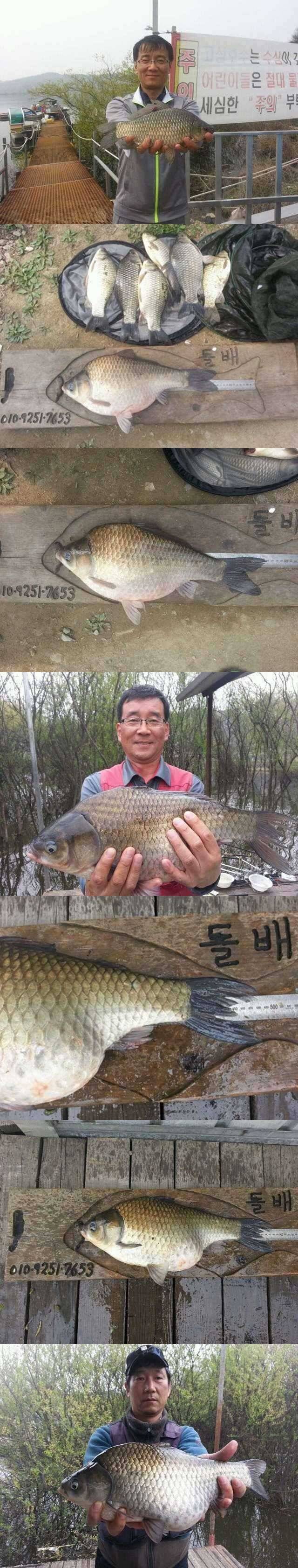 고삼지 이제부터는 떡붕어입니다 (조황조행기 - 특파원조황)