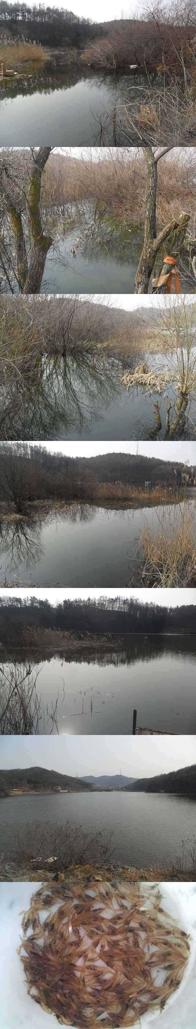 노곡지 오늘부로 완전 해빙 (조황조행기 - 특파원조황)