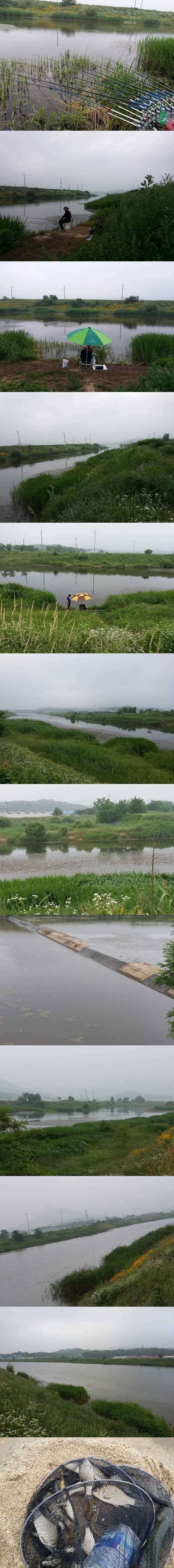 청미천 대물낚는 방법2편 (조황조행기 - 특파원조황)