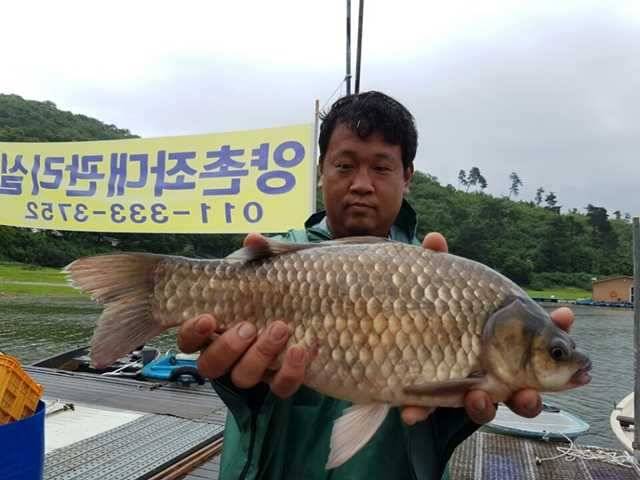 고삼지 오름수위를 보이면서 4짜들이 (조황조행기 - 특파원조황)