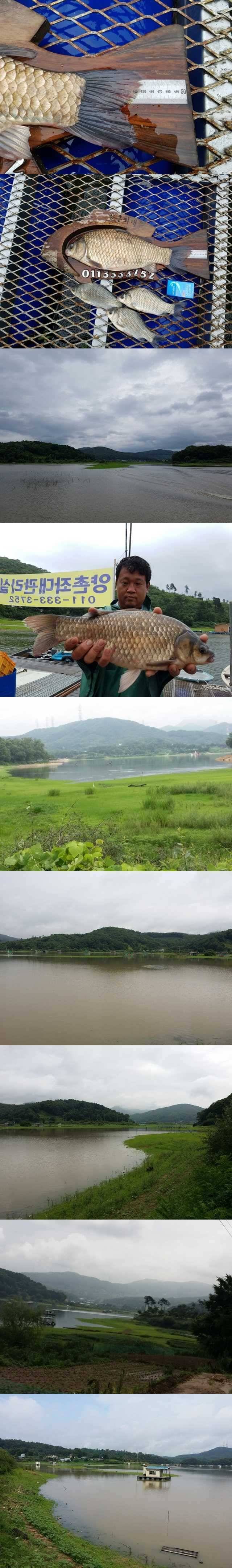 고삼지 오름수위를 보이면서 4짜들이 (조황조행기 - 특파원조황)
