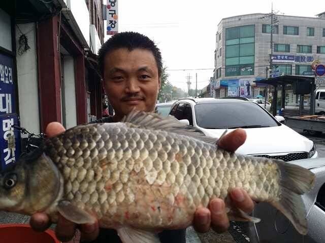 고삼지 기습 폭우 (조황조행기 - 특파원조황)