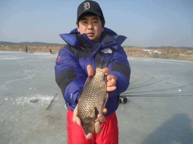 110 안면도권 저수지 및 수로 얼음낚시 안내 (조황조행기 - 특파원조황)