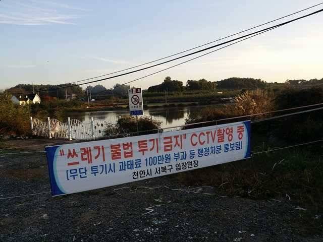 안성권소류지 만수위를 보이고 있습니다 (조황조행기 - 특파원조황)