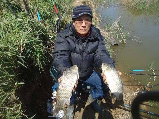 426 부남호 강풍속에서도 대물붕어는 나옵니다 (조황조행기 - 특파원조황)