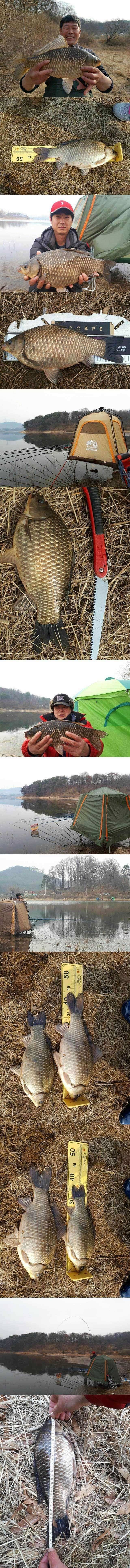 고삼지 노지에서 입질 받으면 4짜 (조황조행기 - 특파원조황)