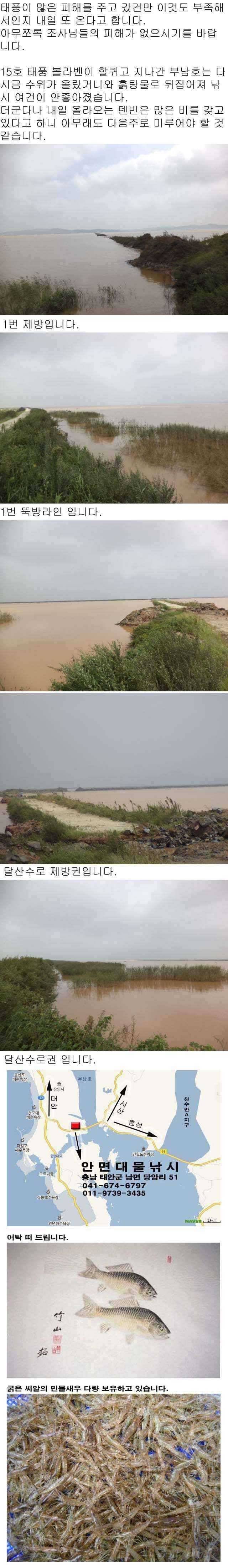 829 부남호 수위 상황 (조황조행기 - 특파원조황)