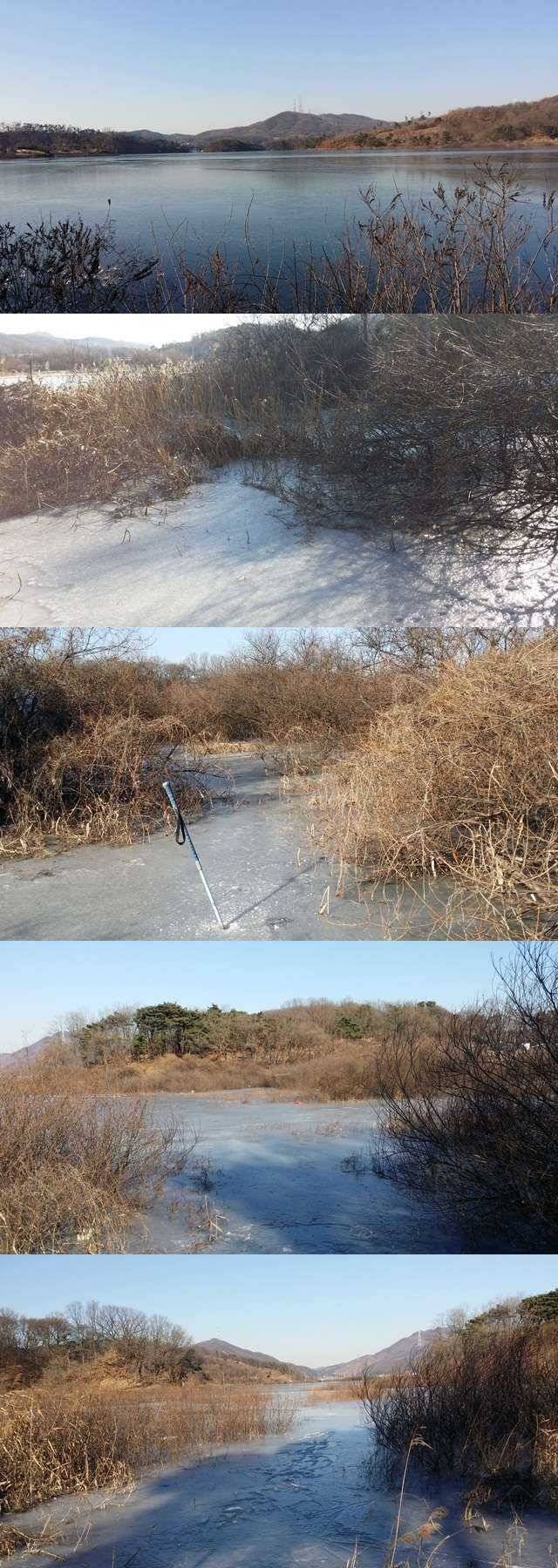 고삼지 일부에서 얼음낚시 가능 (조황조행기 - 특파원조황)
