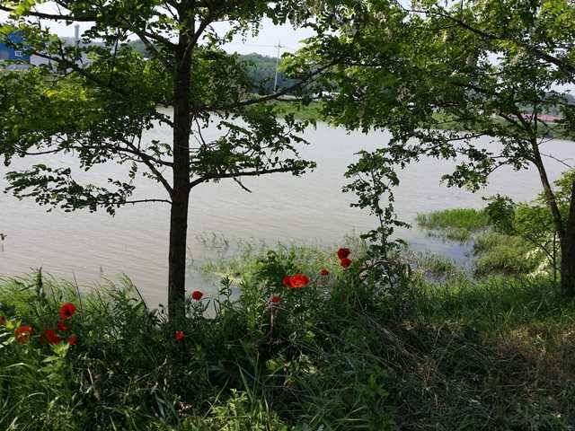 청미천 전경입니디ㅏ (조황조행기 - 특파원조황)
