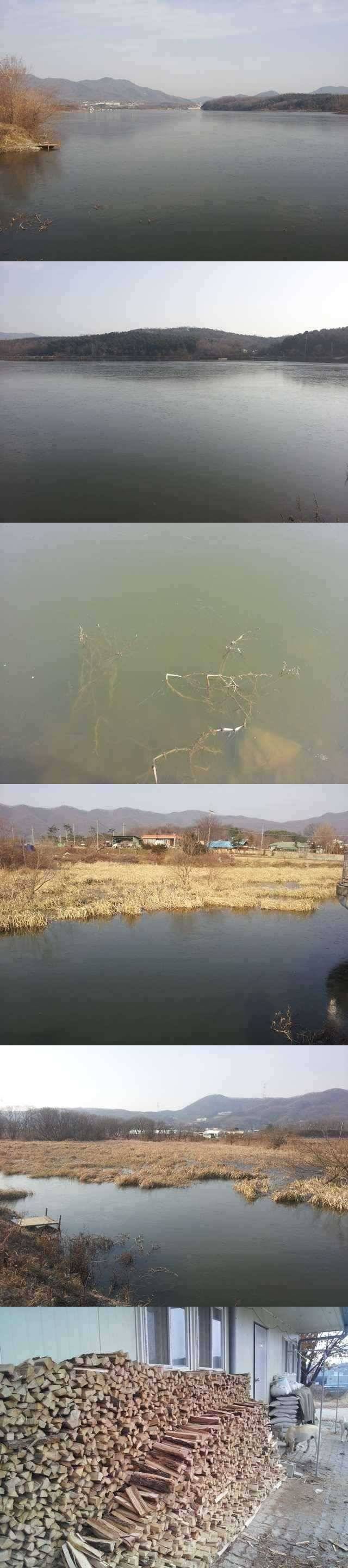 용담지 결빙이 되었습니다 (조황조행기 - 특파원조황)