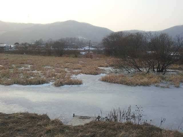 긴급 속보입니다 (조황조행기 - 특파원조황)
