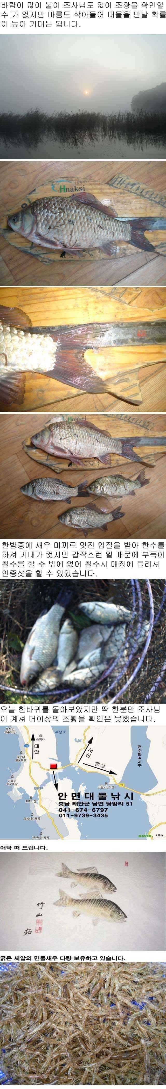 1101 안면도권 저수지 및 수로 조황 (조황조행기 - 특파원조황)