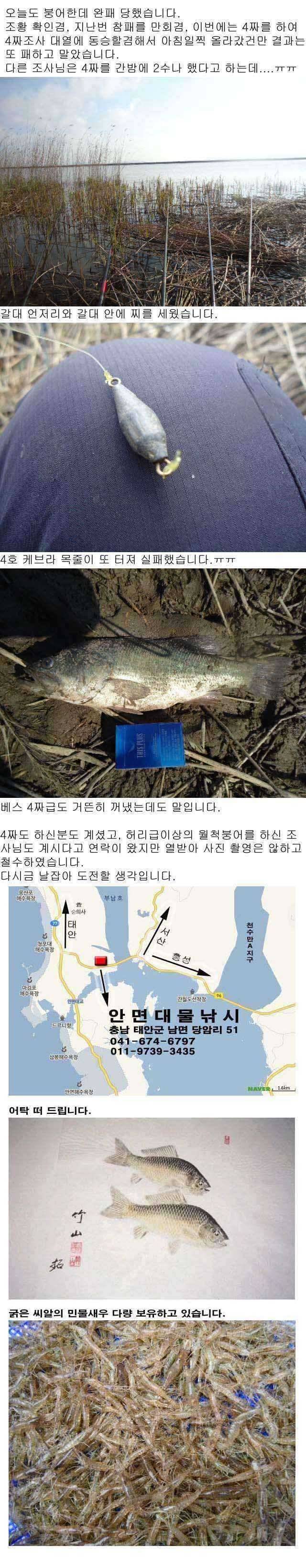부남호 또 한번의 쓰라린 패배의 아픔을 맛보았습니다 (조황조행기 - 특파원조황)