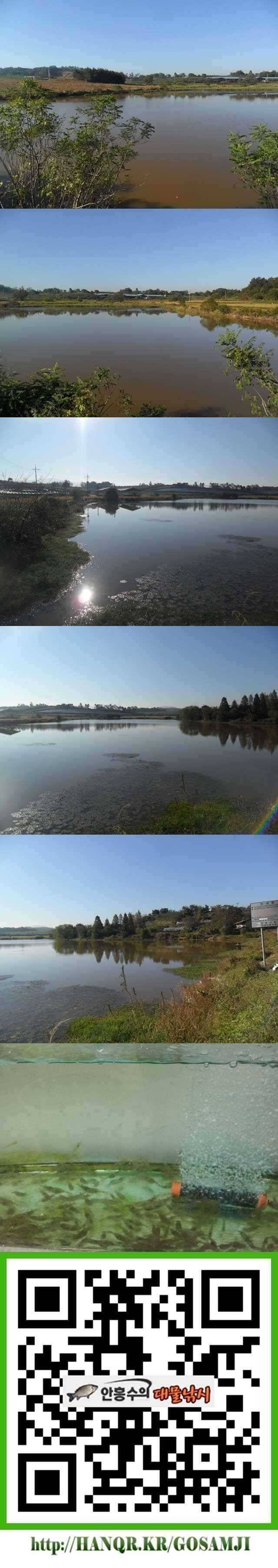 보촌시골지 낚시여건은 (조황조행기 - 특파원조황)