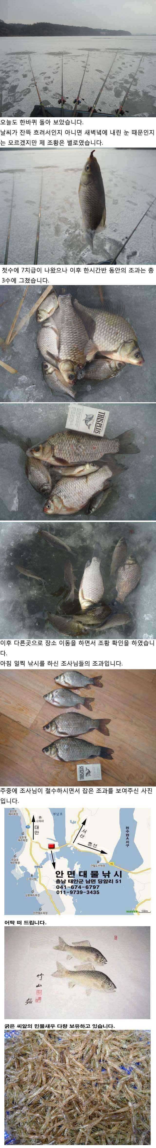127 안면도권 저수지 및 수로 얼음낚시 안내 (조황조행기 - 특파원조황)