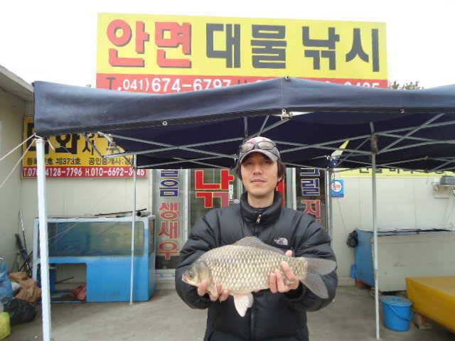 318 부남호 413cm 대물붕어 (조황조행기 - 특파원조황)