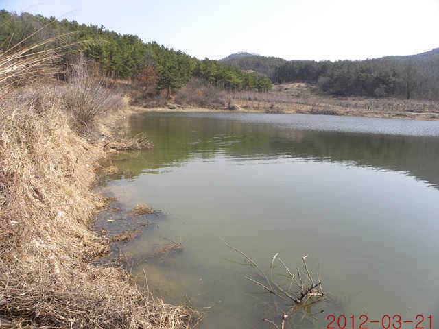 320 삼천지 425 대물입니다 (조황조행기 - 특파원조황)