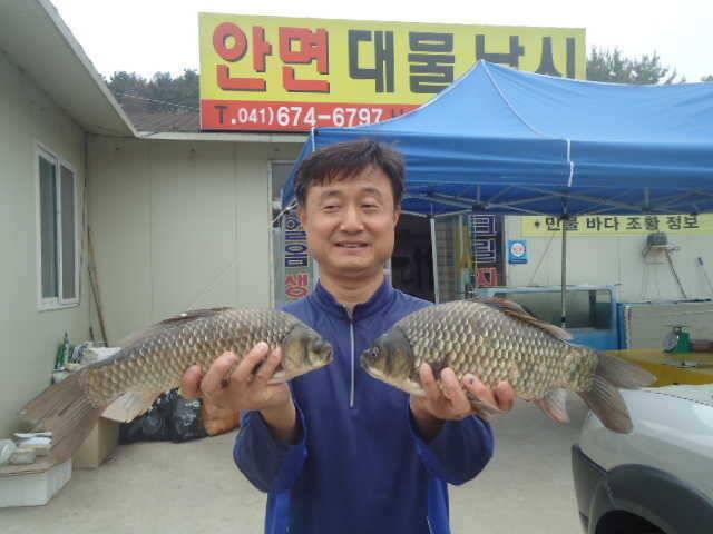 624 부남호 4짜 대물붕어의 호황이 이어지는 주말 조황 안내 (조황조행기 - 특파원조황)