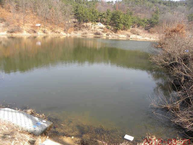 320 삼천지 425 대물입니다 (조황조행기 - 특파원조황)