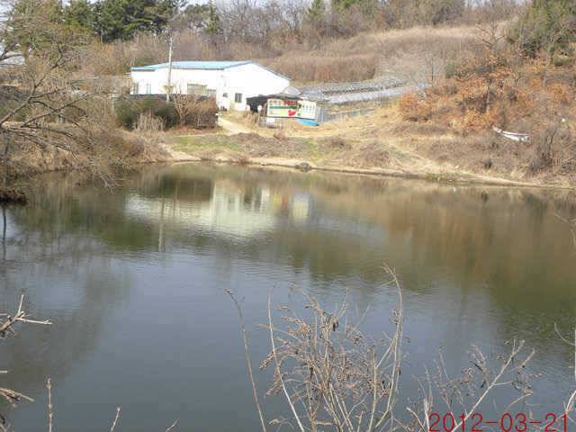 320 삼천지 425 대물입니다 (조황조행기 - 특파원조황)