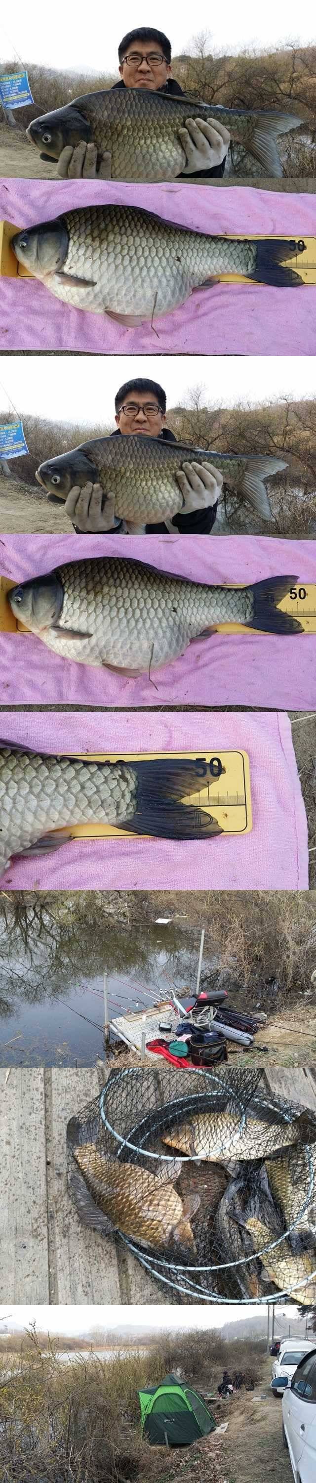 고삼지 노지에서 52cm 터줏대감이 (조황조행기 - 특파원조황)