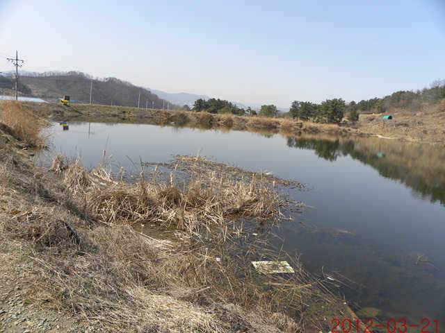 320 삼천지 425 대물입니다 (조황조행기 - 특파원조황)