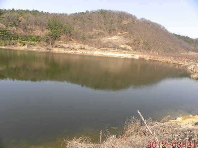 320 삼천지 425 대물입니다 (조황조행기 - 특파원조황)