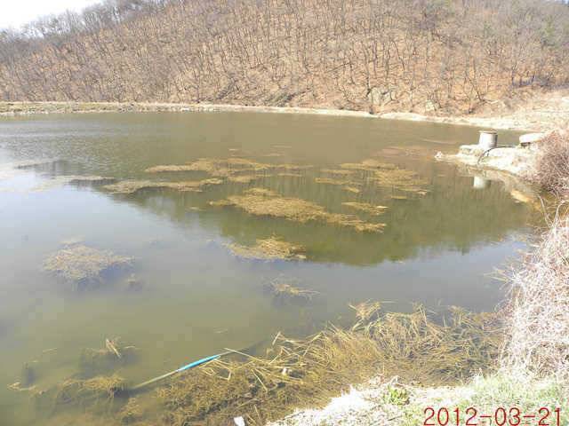 320 삼천지 425 대물입니다 (조황조행기 - 특파원조황)