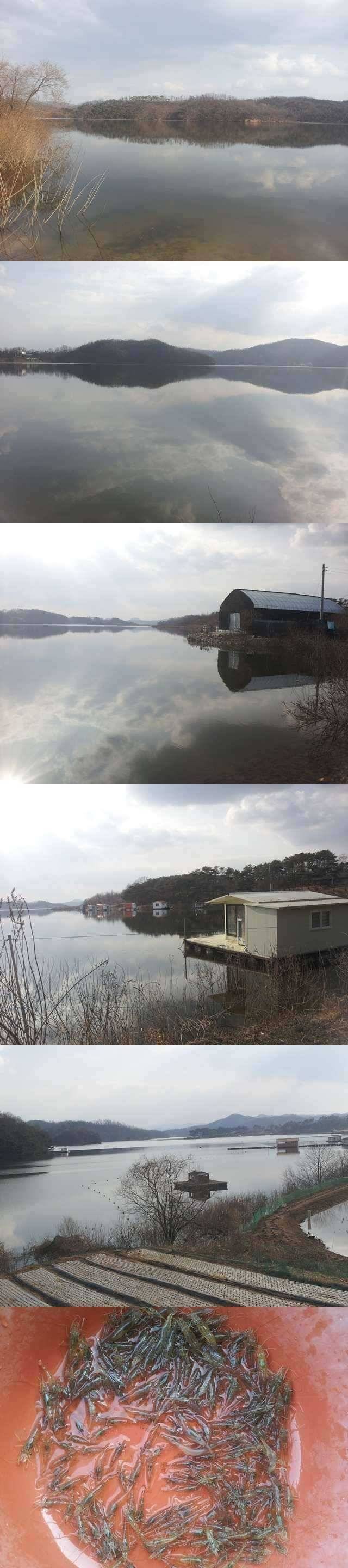고삼지 물낚시 가능합니다 (조황조행기 - 특파원조황)