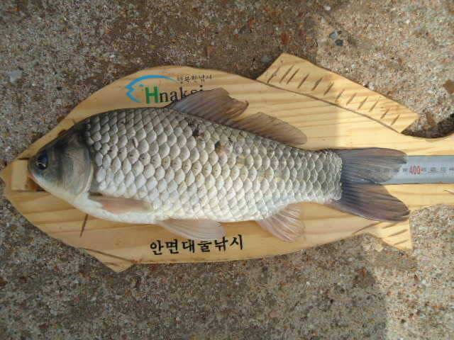 부남호 계속 이어지는 파이팅 (조황조행기 - 특파원조황)