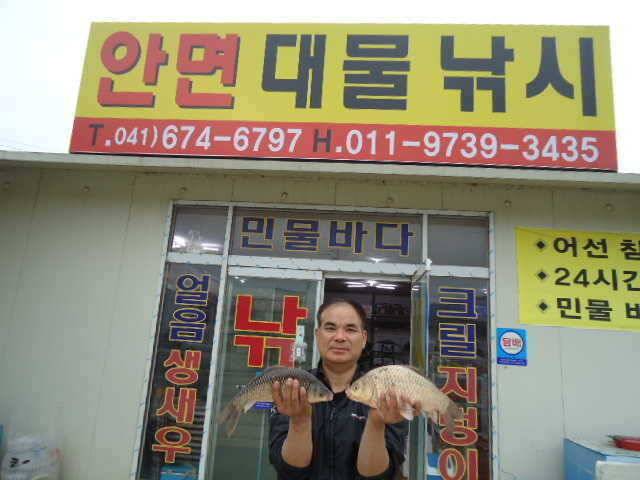 부남호 징검다리 연휴 둘쨋날 대물붕어들의 반란 (조황조행기 - 특파원조황)