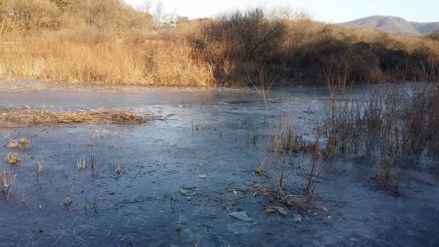 고삼지 빙질상태 안내 (조황조행기 - 특파원조황)