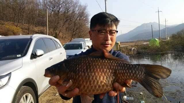 고삼지 노지에서 4짜들이 (조황조행기 - 특파원조황)