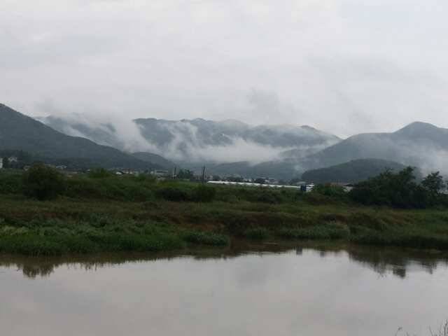 청미천 낚시 가능합니다 (조황조행기 - 특파원조황)