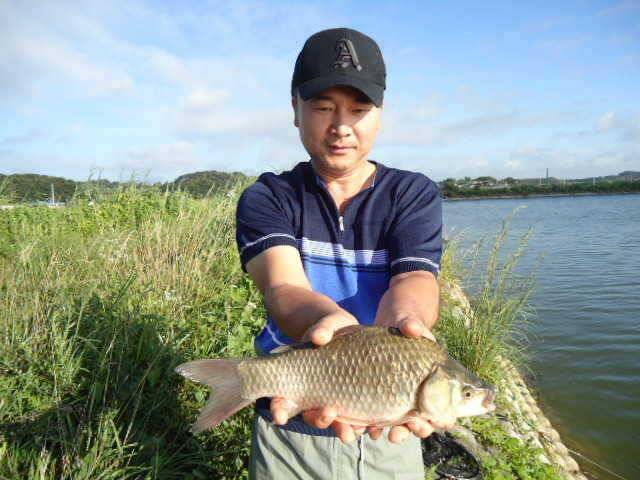 729 안면도권 저수지 및 수로 주말 조황 안내 (조황조행기 - 특파원조황)