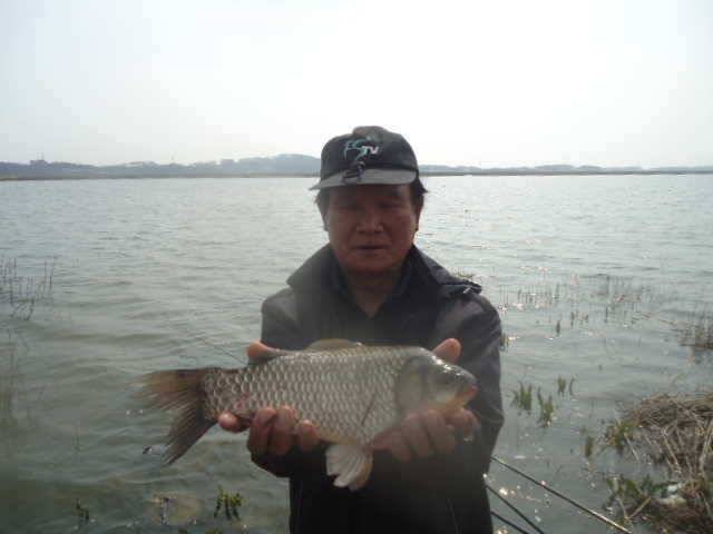 422 부남호 주말 조황 안내 (조황조행기 - 특파원조황)