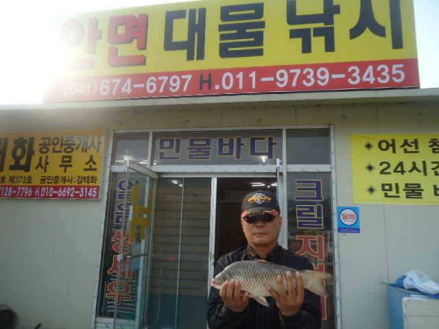 부남호 주말조황 안내 (조황조행기 - 특파원조황)