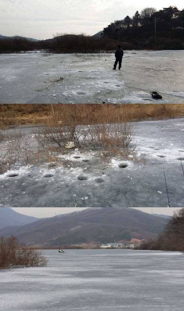 낚시터별 빙질상태 (조황조행기 - 특파원조황)