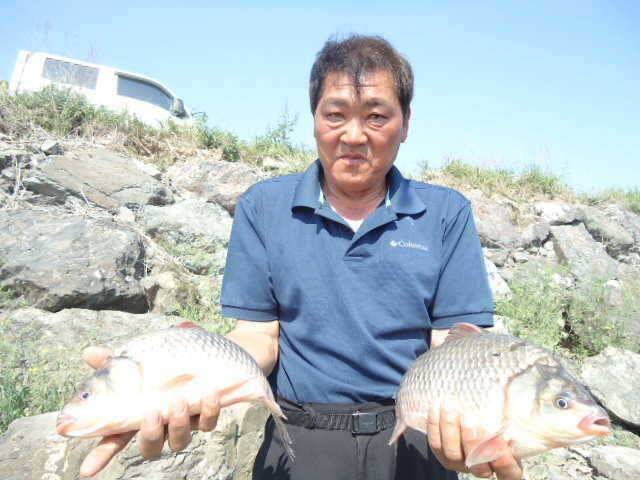 부남호 명함도 못내민 39cm 대물붕어 (조황조행기 - 특파원조황)