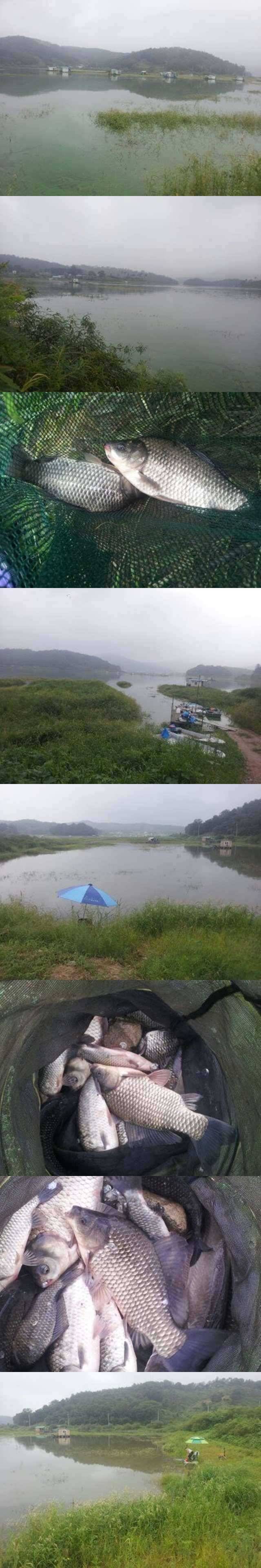 고삼지 노지 조황입니다 (조황조행기 - 특파원조황)