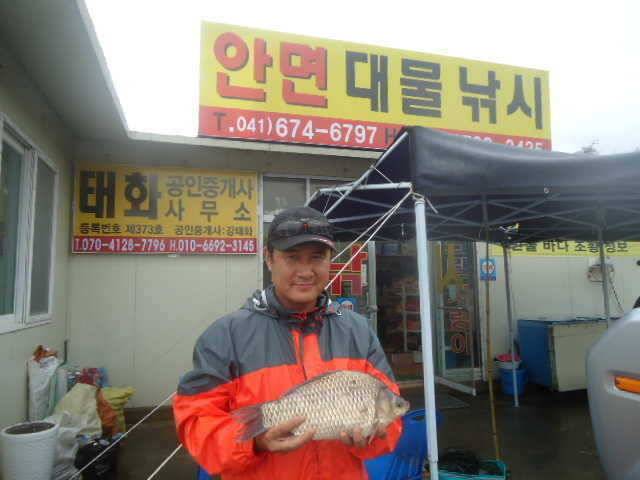 부남호 주말조황 안내 (조황조행기 - 특파원조황)