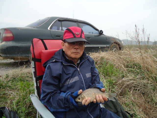 안면도권 저수지 및 수로 부남호 주말 조황 안내 (조황조행기 - 특파원조황)