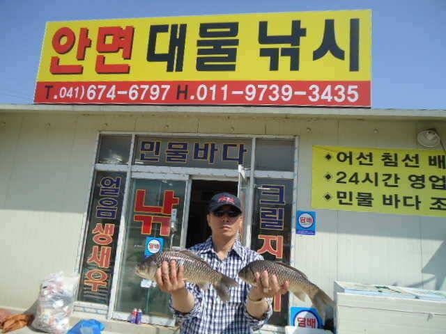 부남호 내림수위속에서 나온 40cm급 대물붕어 (조황조행기 - 특파원조황)