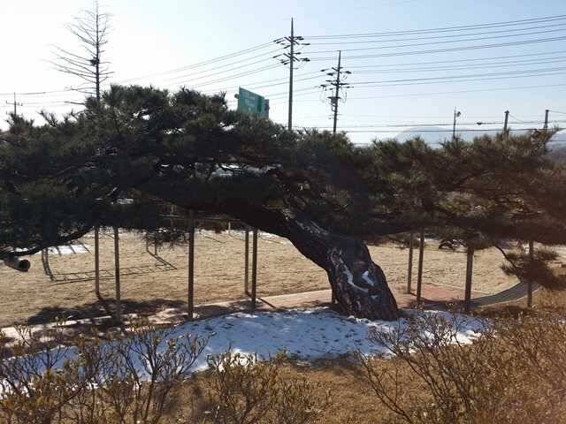 얼음낚시가 가능한 소류지들 (조황조행기 - 특파원조황)