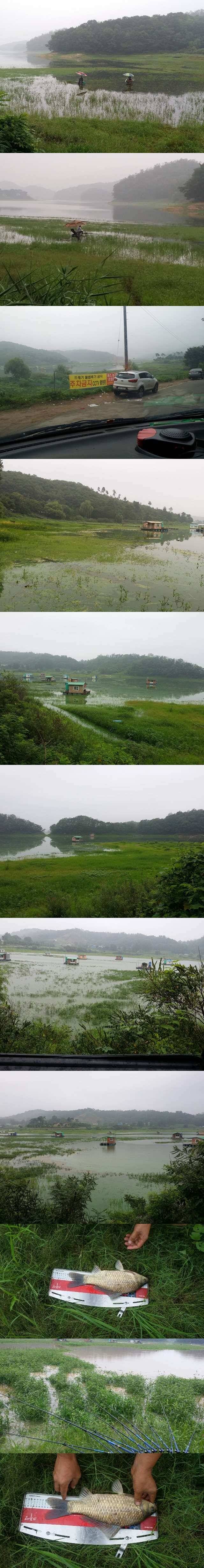 고삼지 노지에서 슬슬 나옵니다 (조황조행기 - 특파원조황)